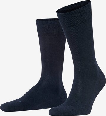 FALKE Socks in Blue: front