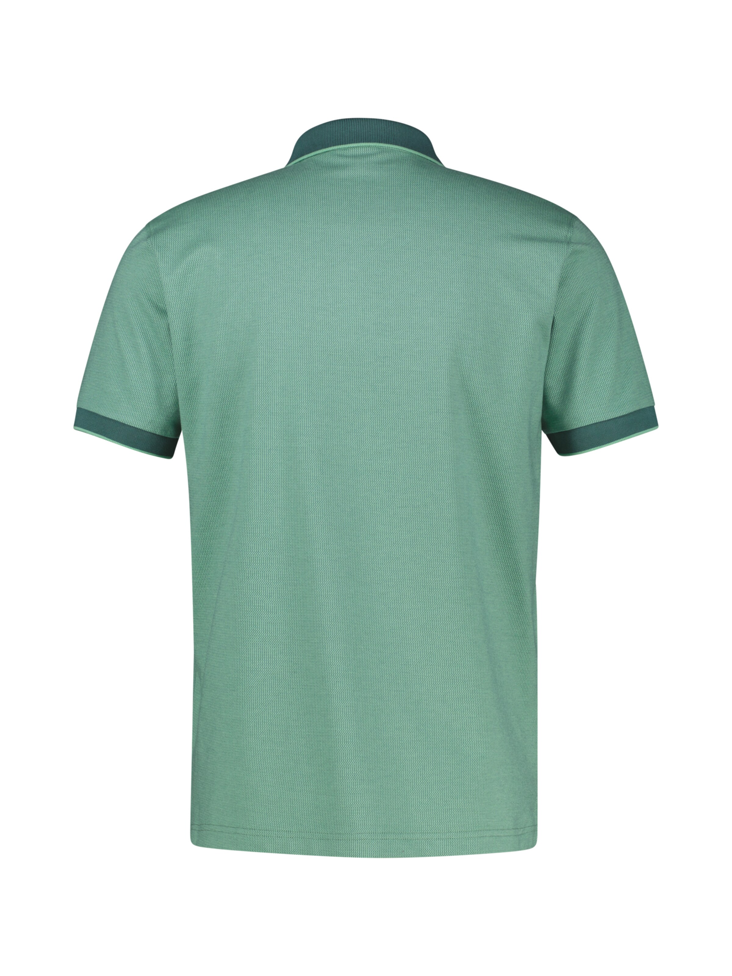 LERROS Shirt in Green