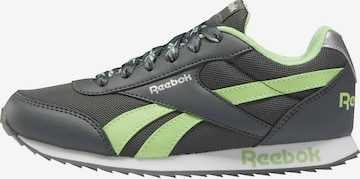 Reebok Sneaker in Grau: predná strana