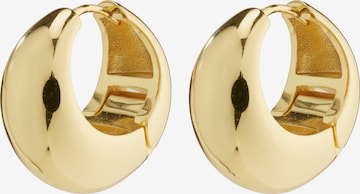 Pilgrim Σκουλαρίκι 'AMBER' σε χρυσό: μπροστά