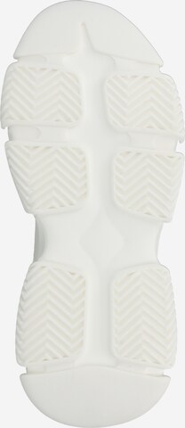 STEVE MADDEN - Sapatilhas baixas 'Project' em branco