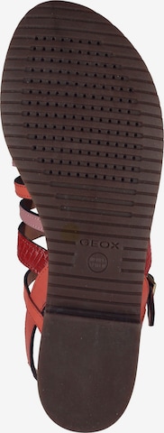 Sandalo con cinturino di GEOX in colori misti