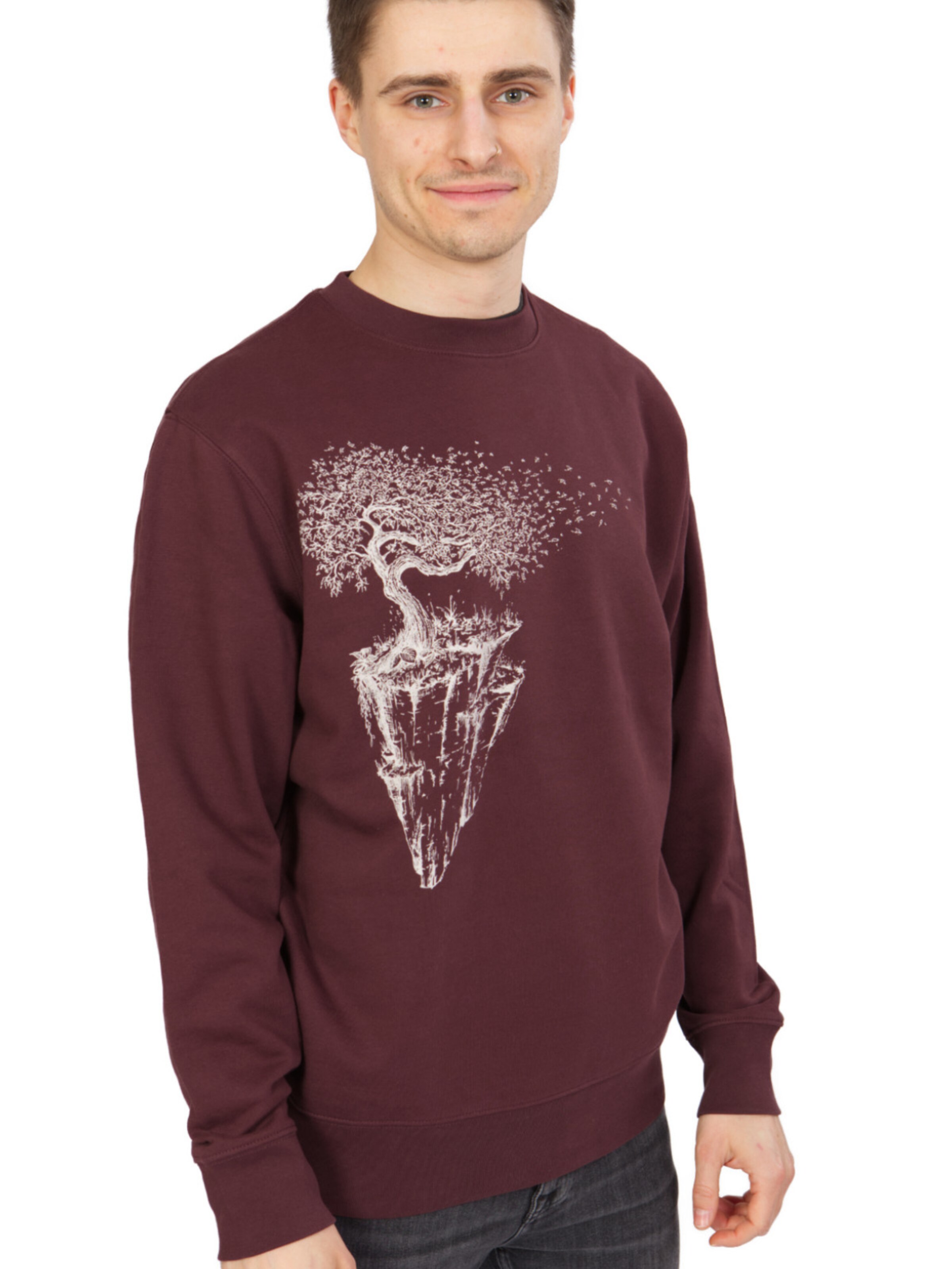 Life-Tree Sweatshirt 'Organic Fairwear Sweater Unisex Red Brown Maple Island' in Brown: front