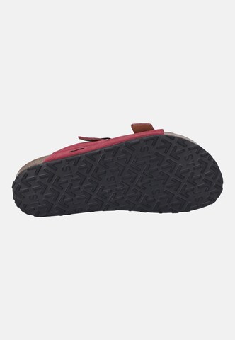 JOSEF SEIBEL Mules 'Hermine 06' in Red