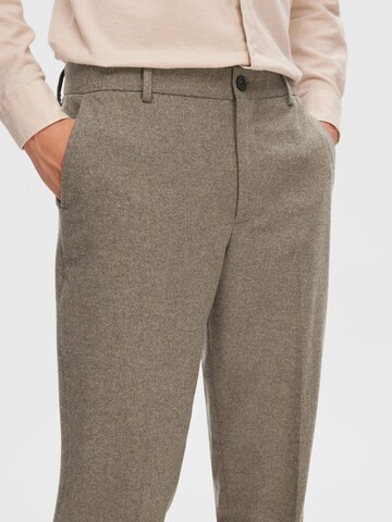 SELECTED HOMME Regular Bundfaltenhose in Braun