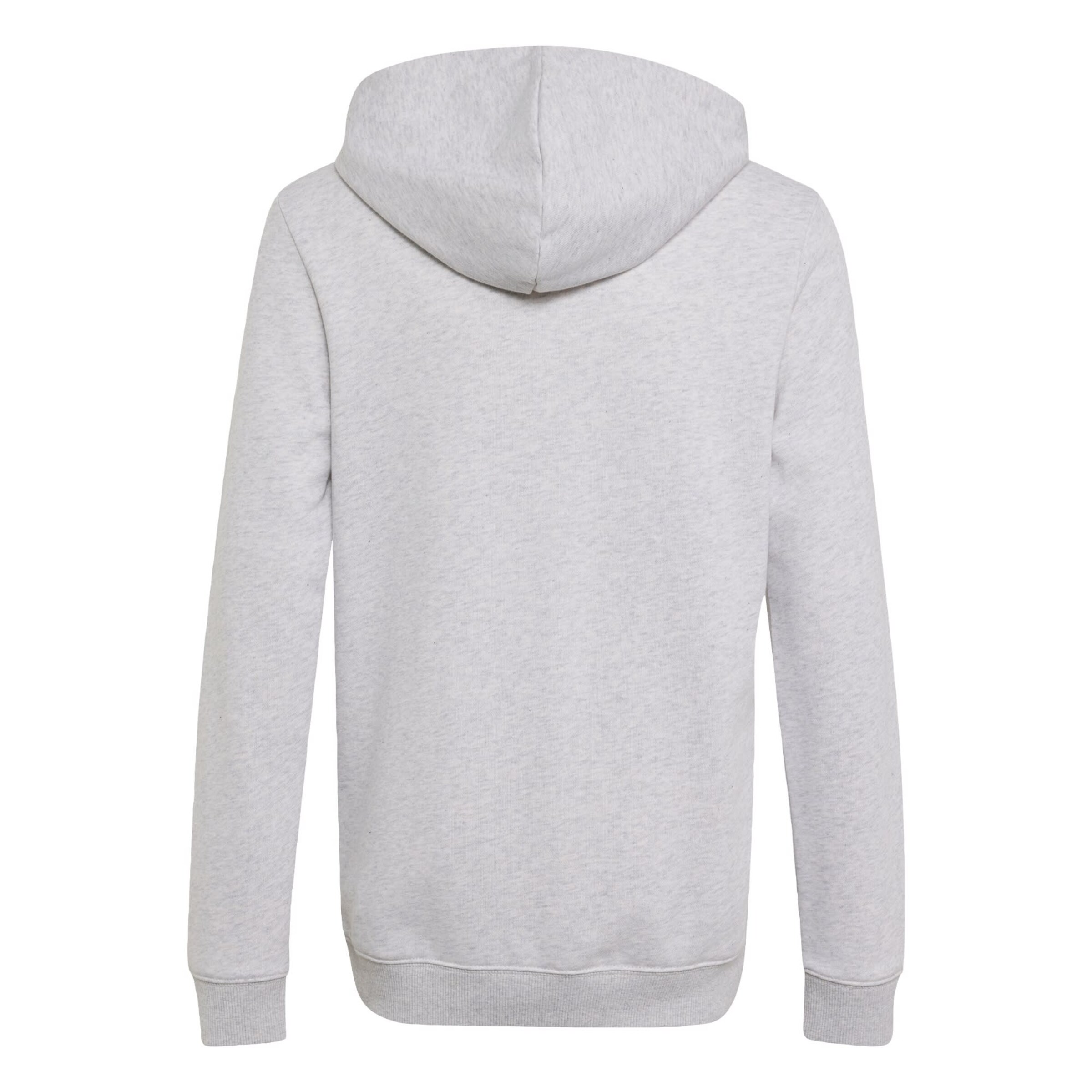 Sweat de sport 'Audi Formula One Team Gabriel Bortoleto' ADIDAS PERFORMANCE en gris