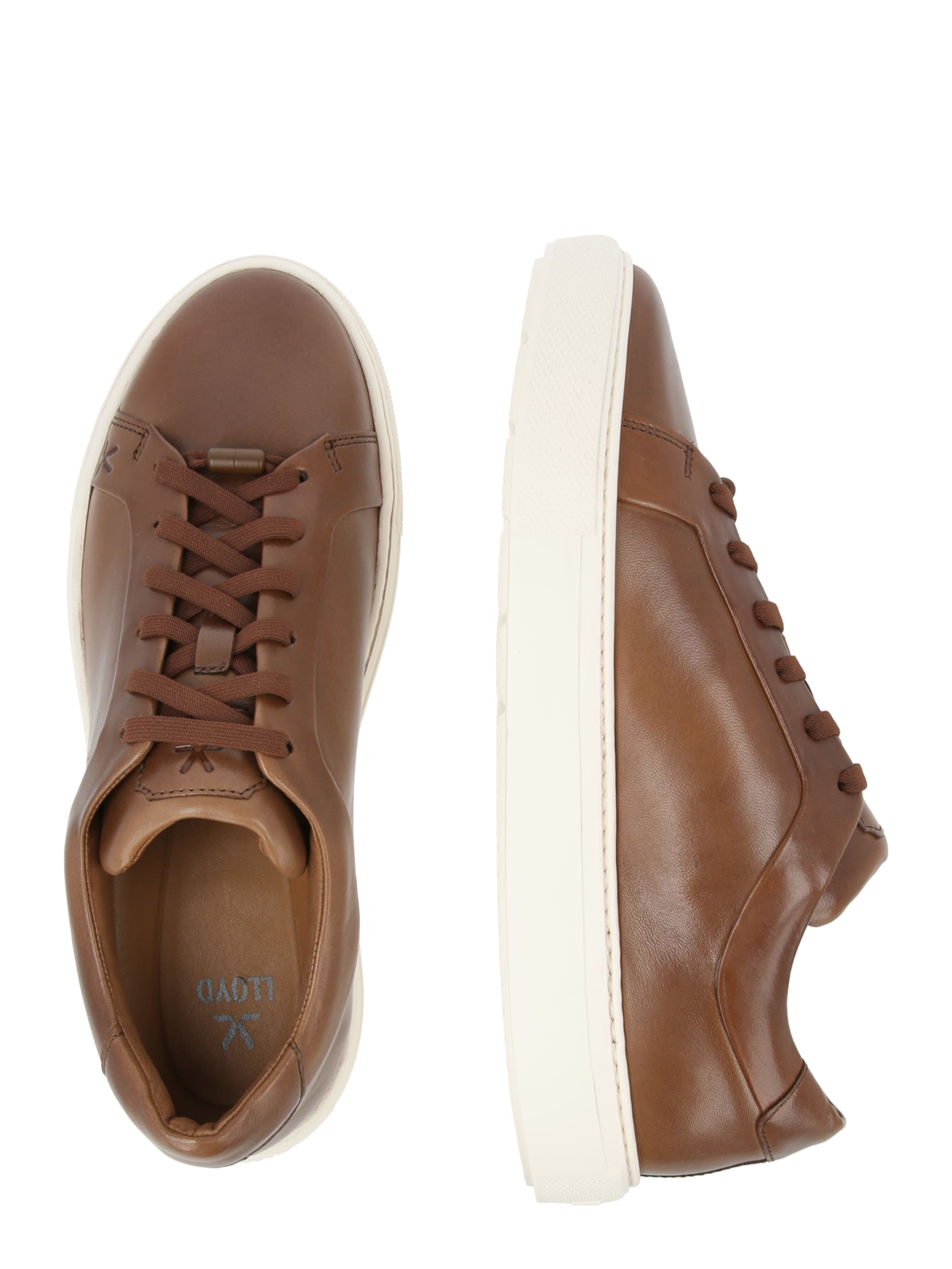 LLOYD Σνίκερ χαμηλό 'METRO' σε καφέ