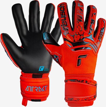 REUSCH Athletic Gloves 'Attrakt Gold X' in Orange: front