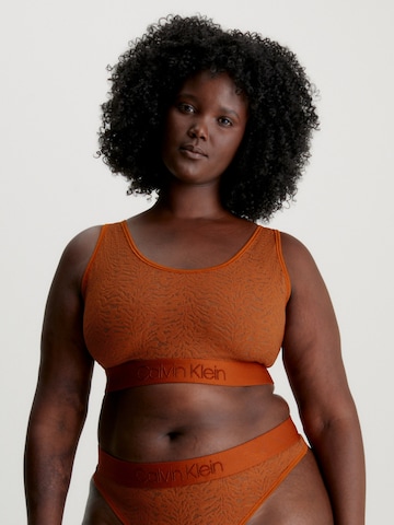 Calvin Klein Underwear Plus Bralette Bra 'Intrinsic' in Brown