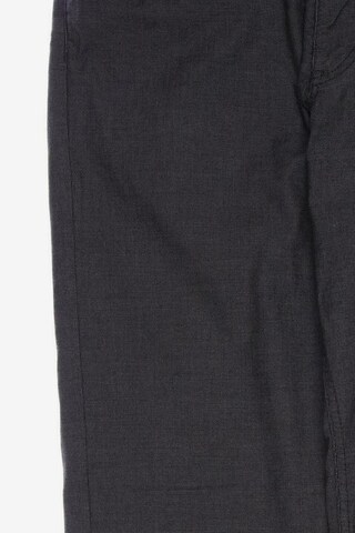 BRAX Pants in 30 in Grey