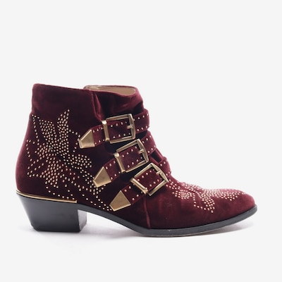 Chloé Stiefeletten in 39 in bordeaux, Produktansicht
