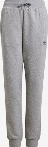 Pantaloni 'Trefoil Essentials' di ADIDAS ORIGINALS in grigio: frontale