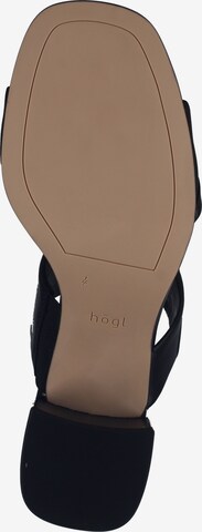 Högl Sandalen met riem in Zwart