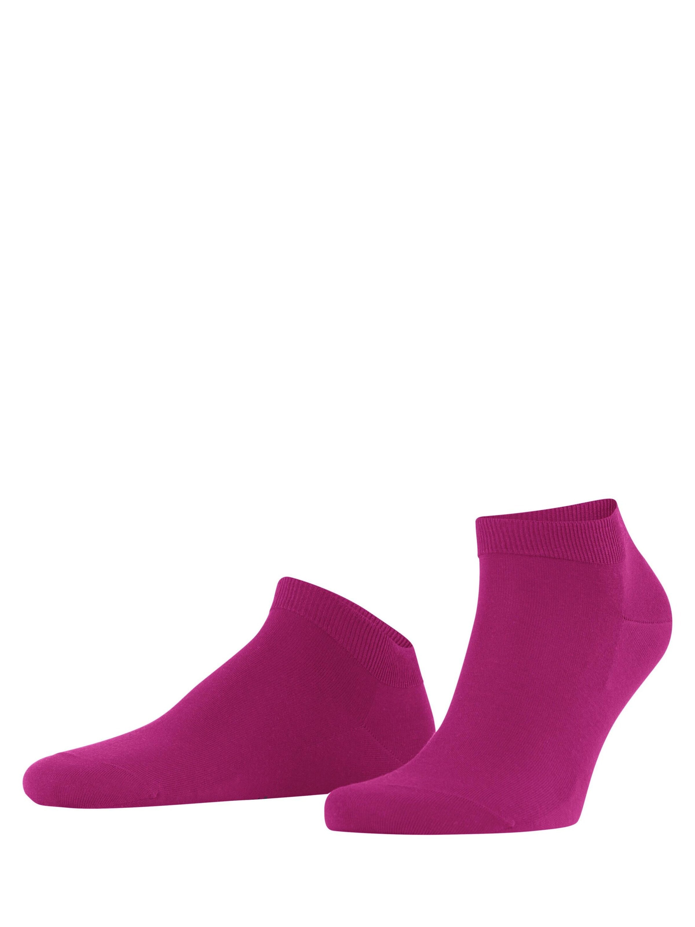 FALKE Socken 'ClimaWool'‌‌‌‌ in Lila: Vorderseite