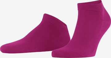 FALKE Socken 'ClimaWool' in Lila: Vorderseite
