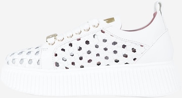 Baskets basses Lorenzo Mari en blanc : devant