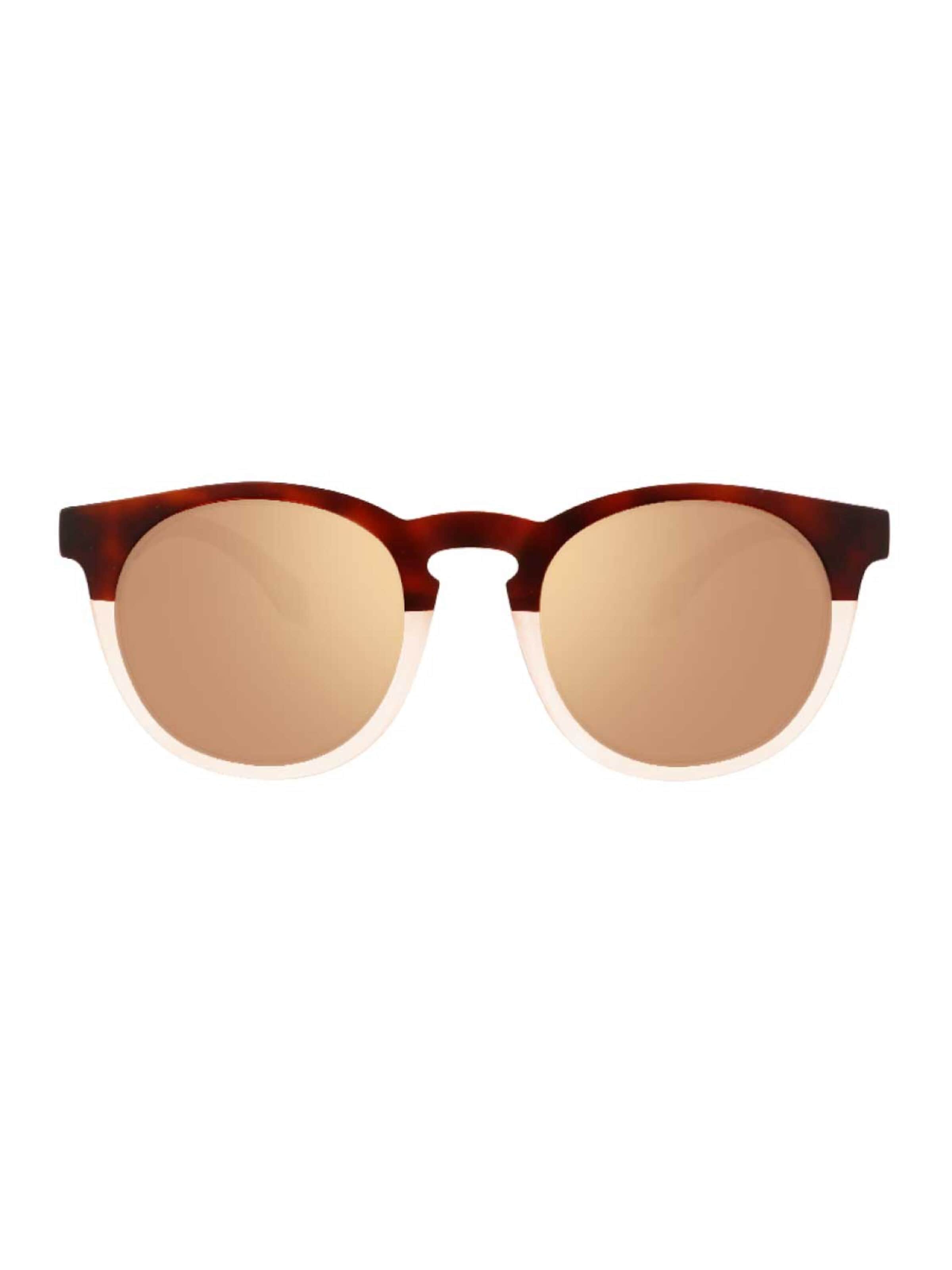 Alsteca Sunglasses 'Wynwood C84' in Brown