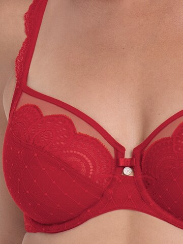 ROSA FAIA BH 'Selma' in Rot