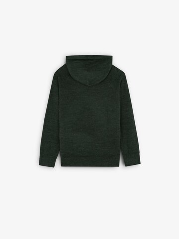 Scalpers Sweatshirt in Grün