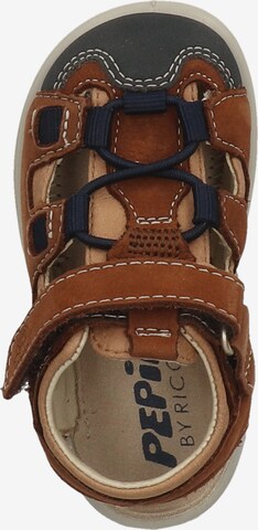 Pepino Sandals & Slippers in Brown