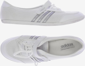 ADIDAS NEO Sneakers Trainers in 41 5 in White ABOUT YOU