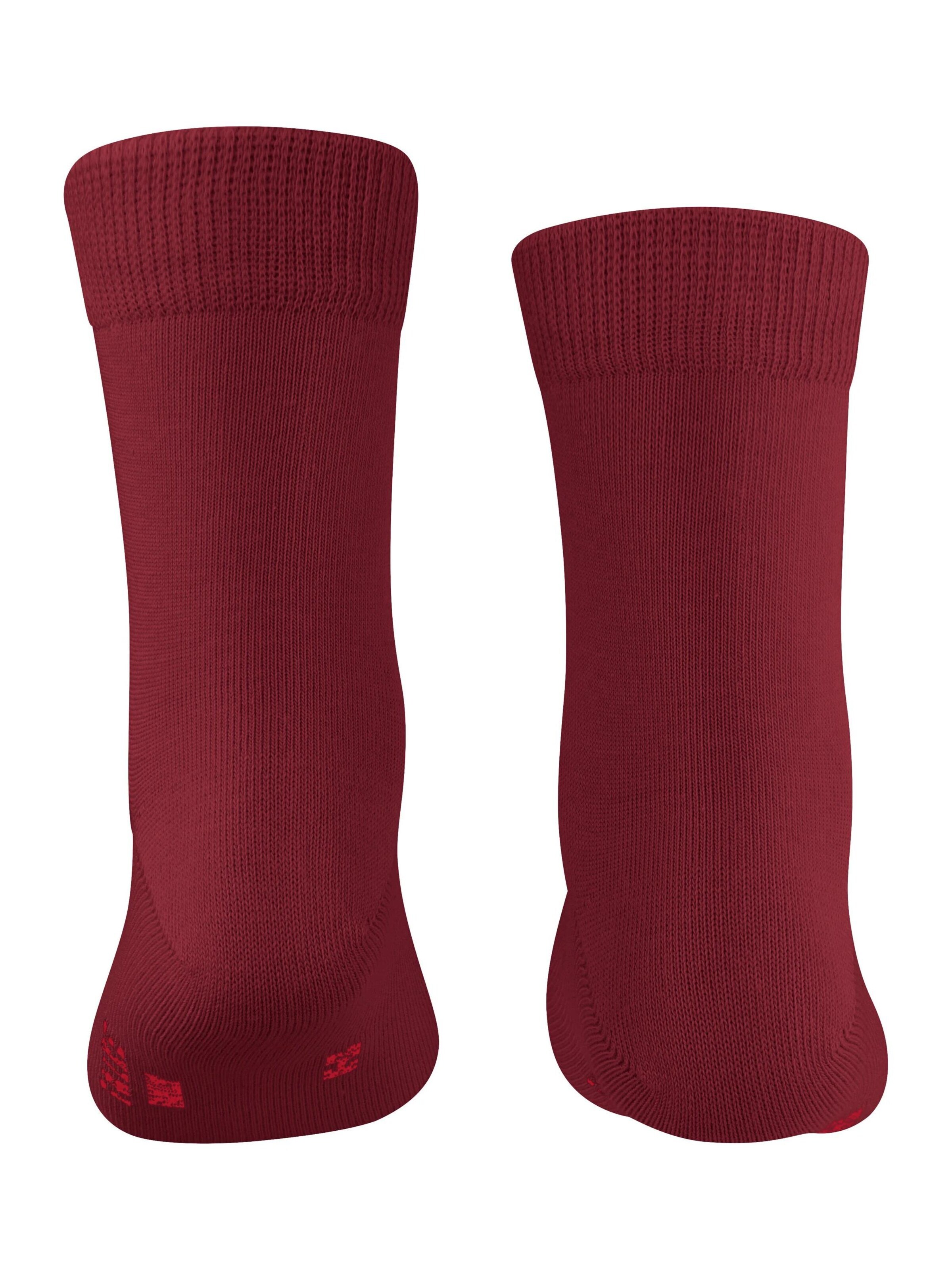 FALKE Socks 'Family' in Red