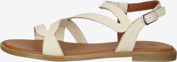 ILC Sandalen met riem in Beige