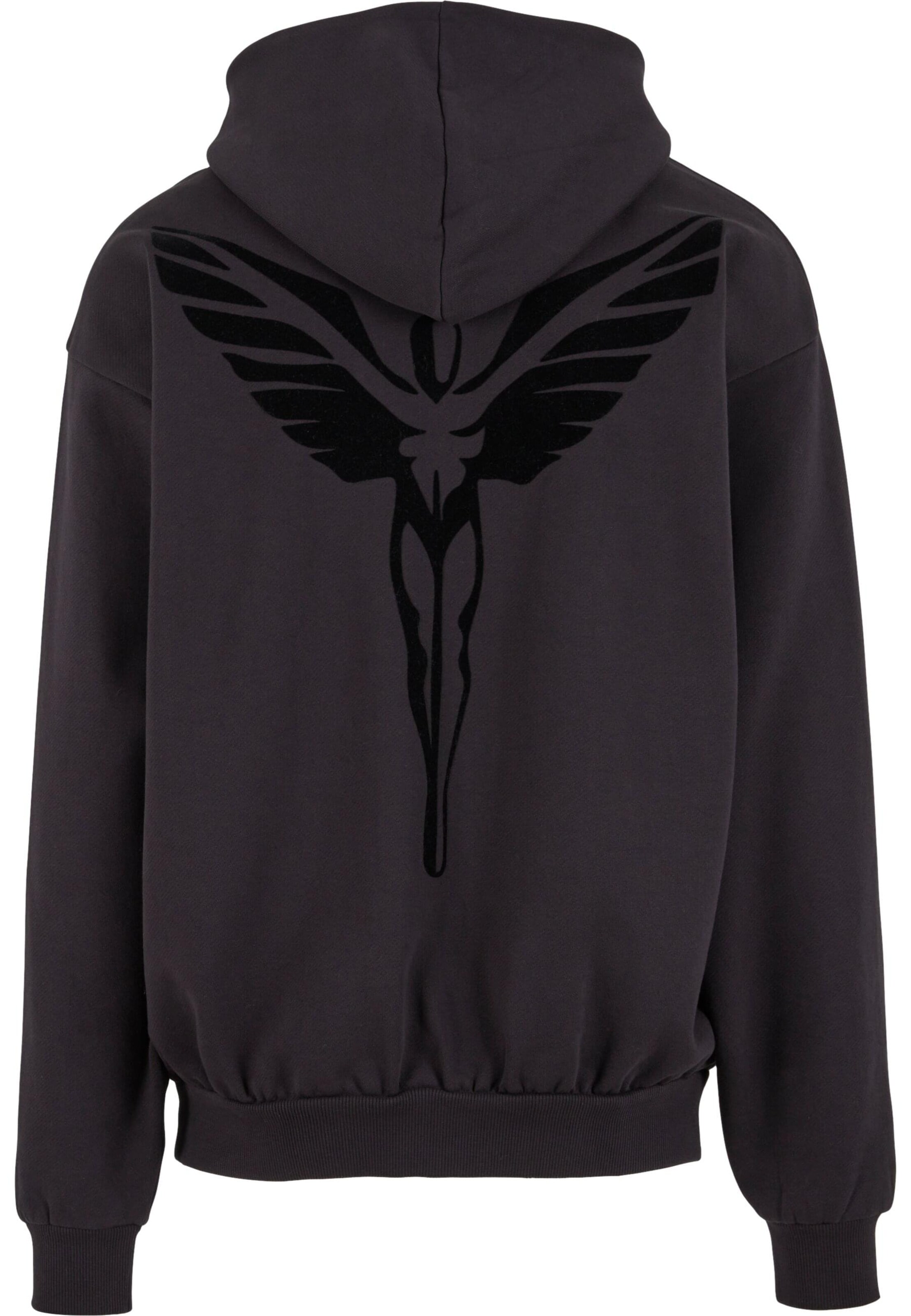 Sweat-shirt 'Ikarus' Colucci en marron : devant