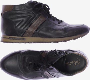 Galizio Torresi Sneaker 46 in Grün: predná strana