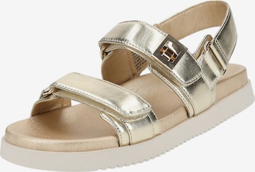 Sandales 'Mona' STEVE MADDEN en or : devant