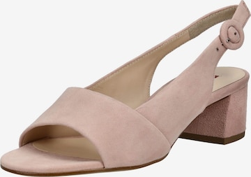 Sandales Högl en rose : devant