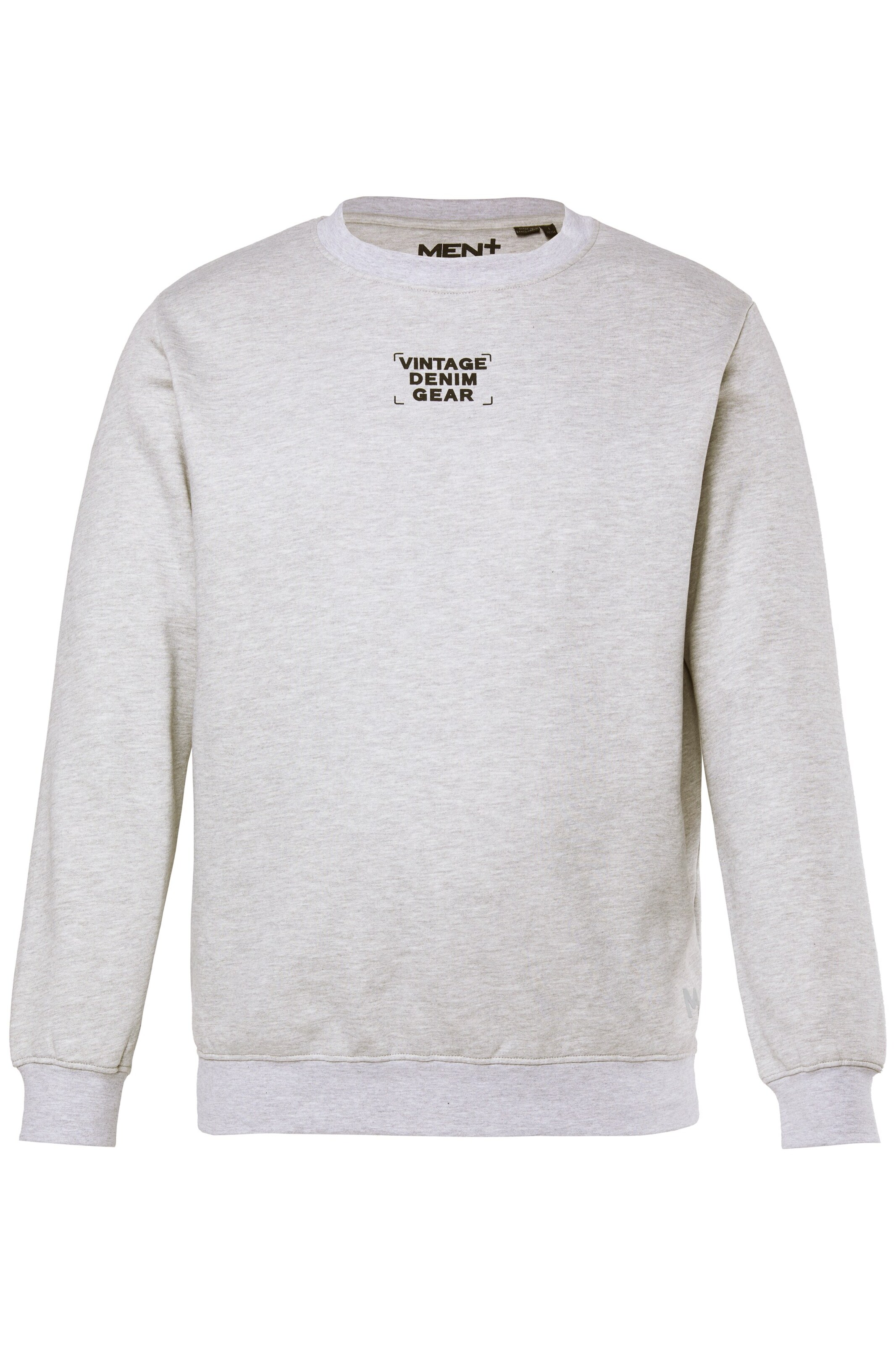 Men Plus Sweatshirt in Grijs: voorkant