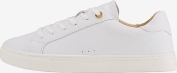 Baskets basses 'Tinta Coralie' JOOP! en blanc : devant