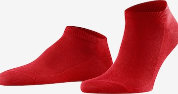 FALKE Socks 'Family' in Red: front