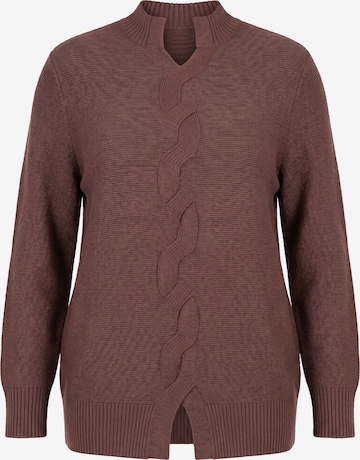 Ulla Popken Pullover in Braun: Vorderseite