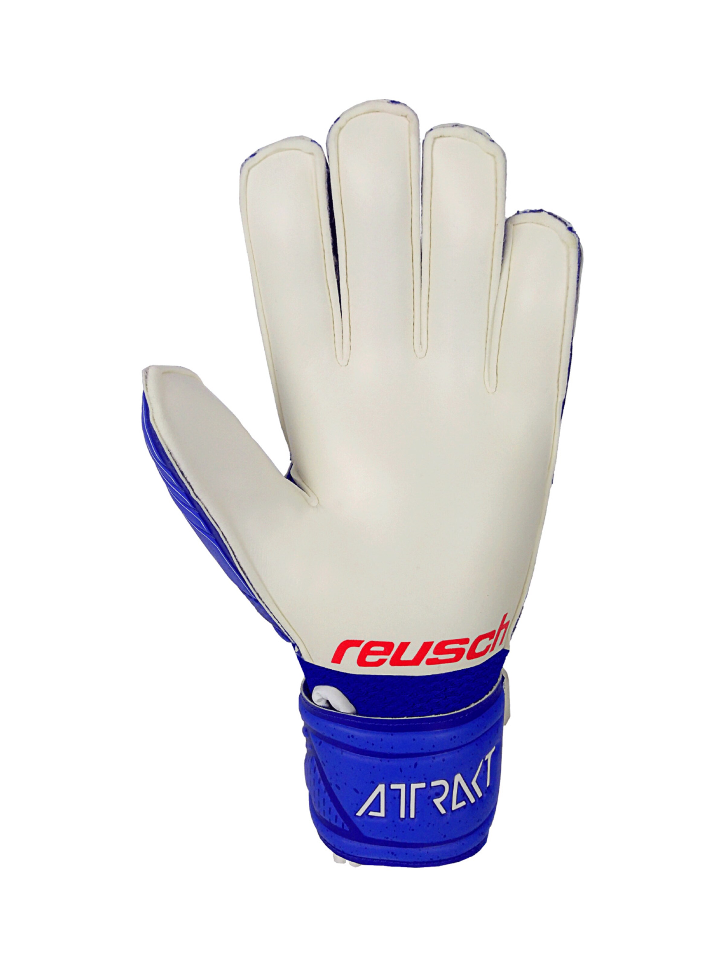 REUSCH Torwarthandschuh in Blau