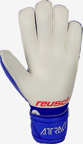 REUSCH Athletic Gloves in Blue