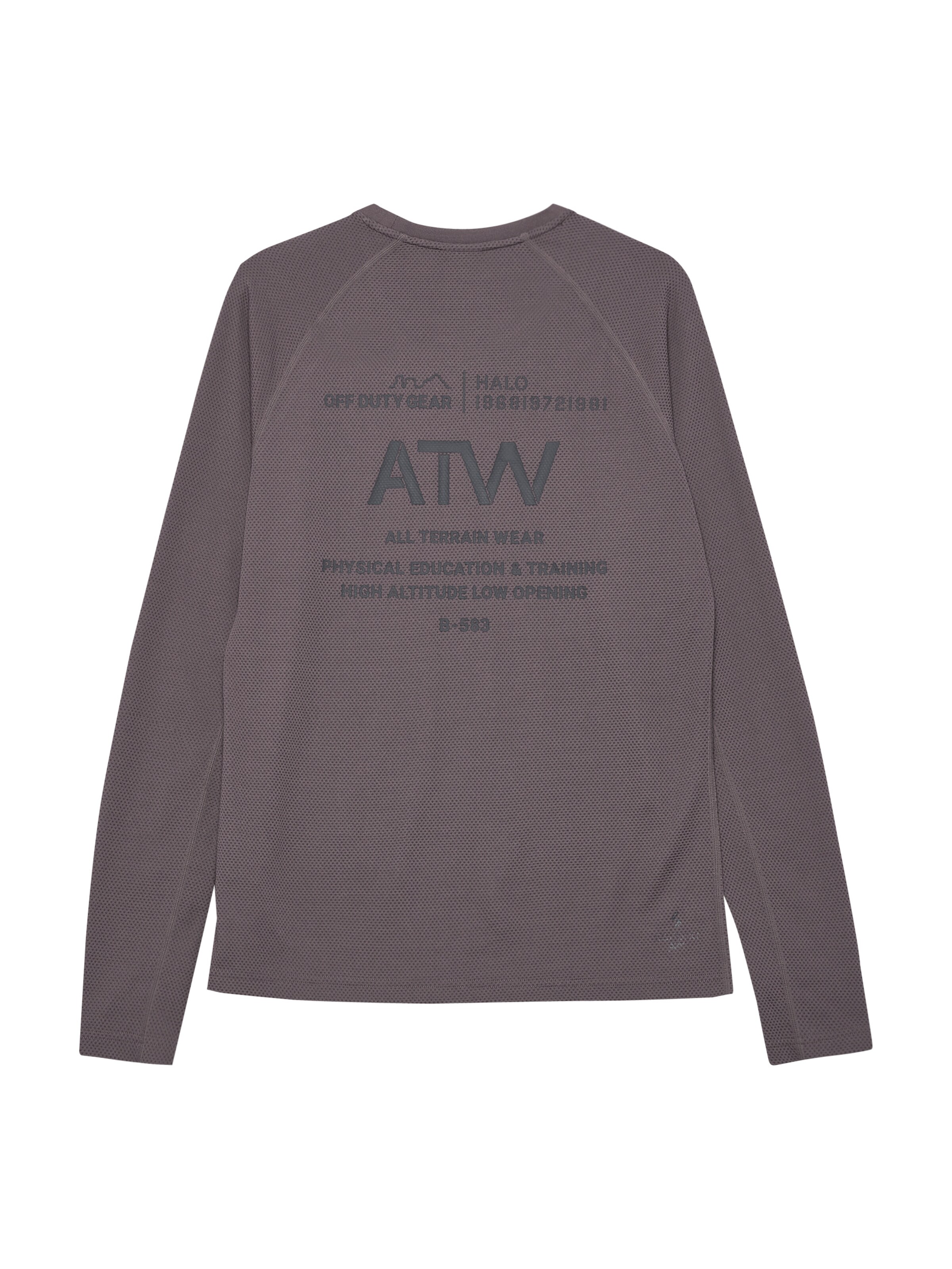 HALO Shirt in Grey
