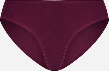 Albero Natur Slip 'Klassischer Bio-Baumwoll Damen Slip' in Lila: Vorderseite
