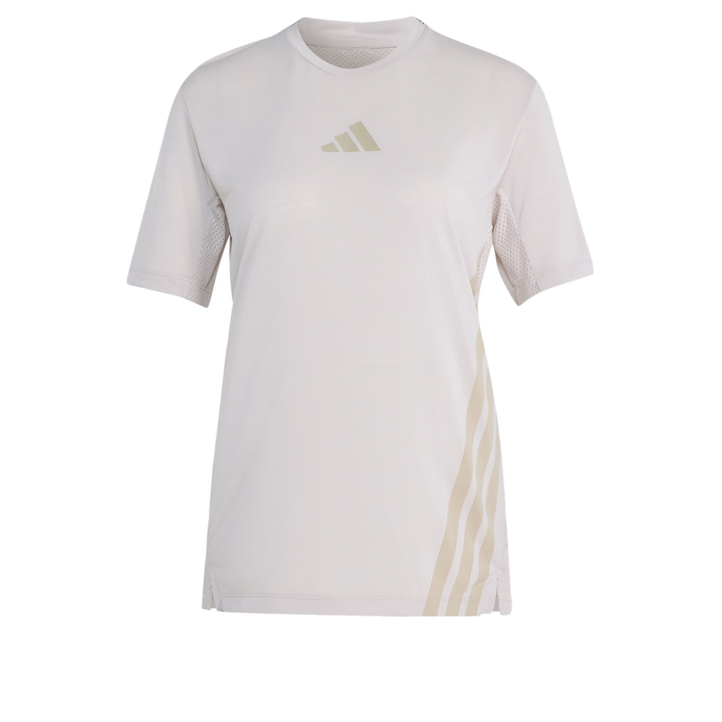 ADIDAS TERREX Functioneel shirt 'Xperior' in Beige: voorkant