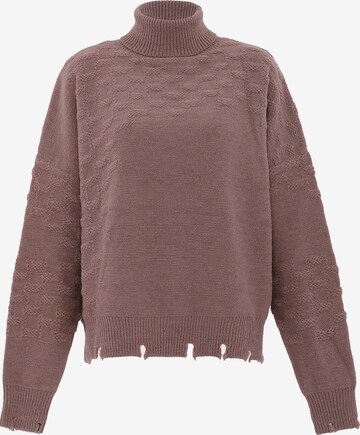 FENIA Sweater 'Fenia' in Brown: front
