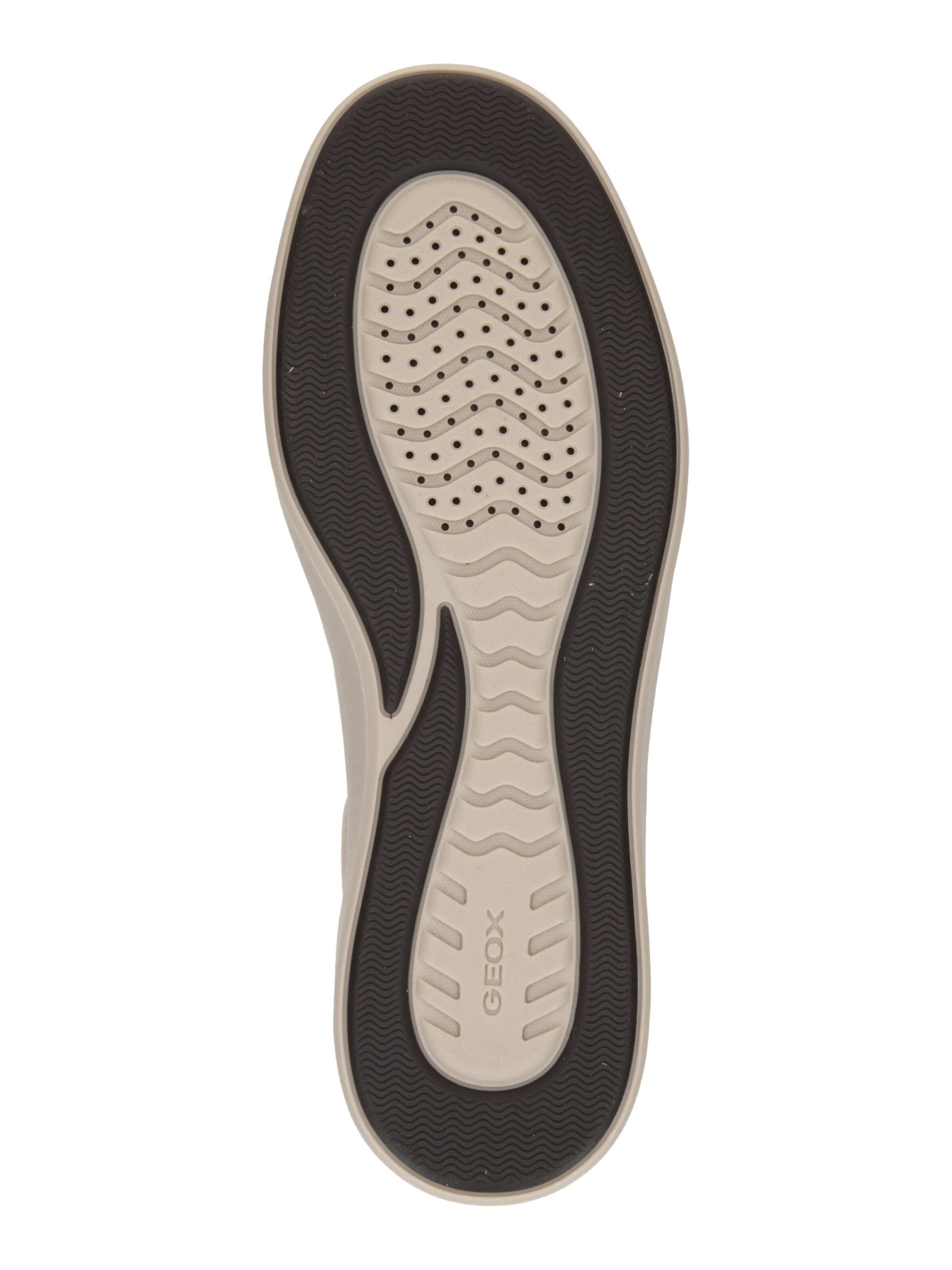 Baskets basses 'U Baltmoore A' GEOX en beige