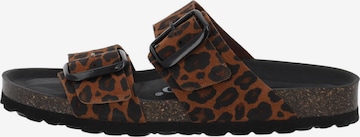 Palado Pantolette 'Samos GS' in Braun: Vorderseite