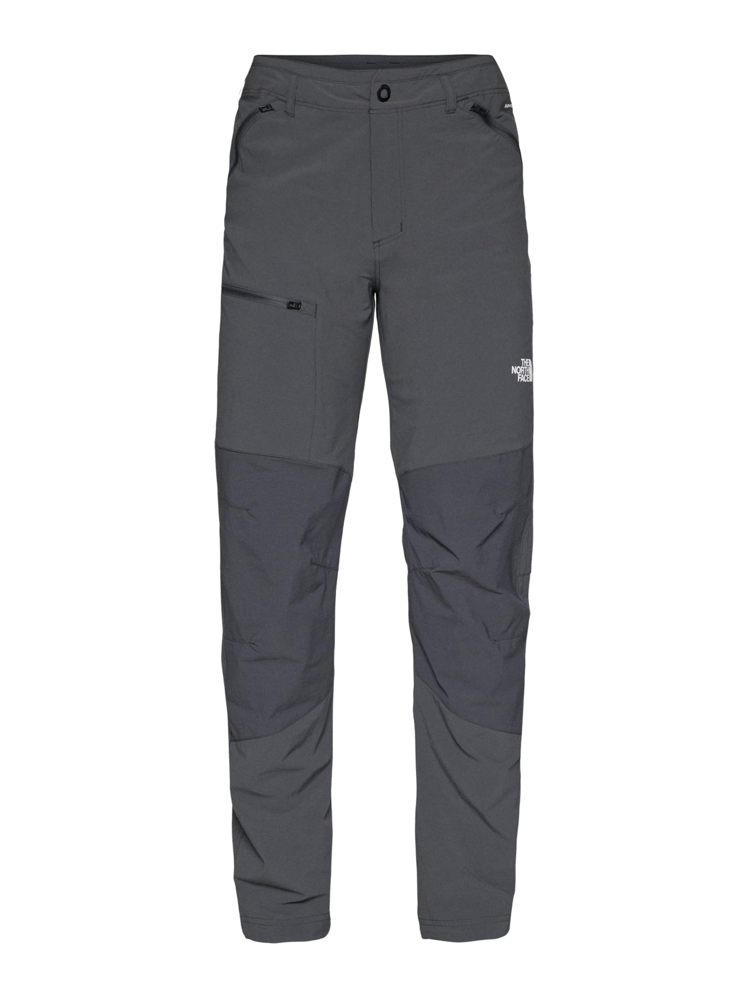 THE NORTH FACE regular Παντελόνι πεζοπορίας σε γκρι: μπροστά