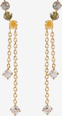 P D PAOLA Earrings in Yellow: front