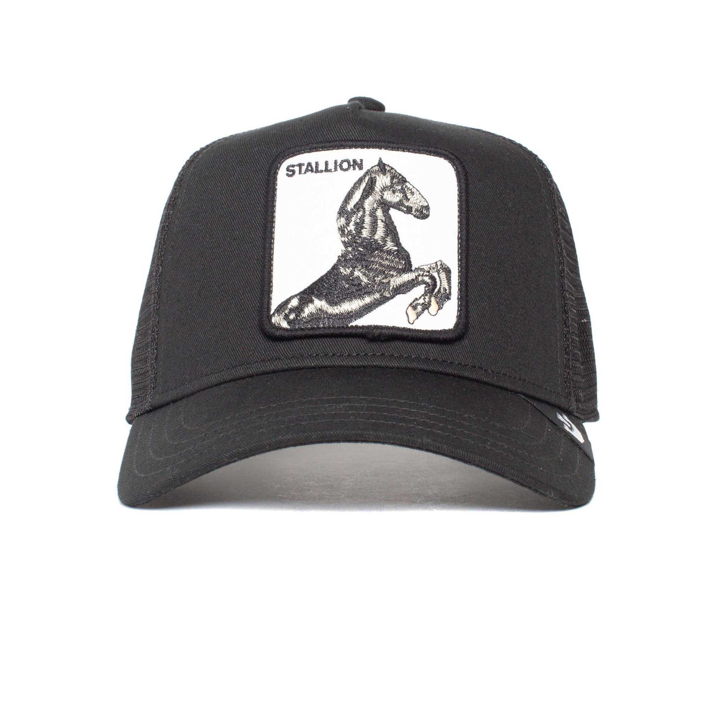 GOORIN Bros. - Gorra 'The Stallion' en negro: frente