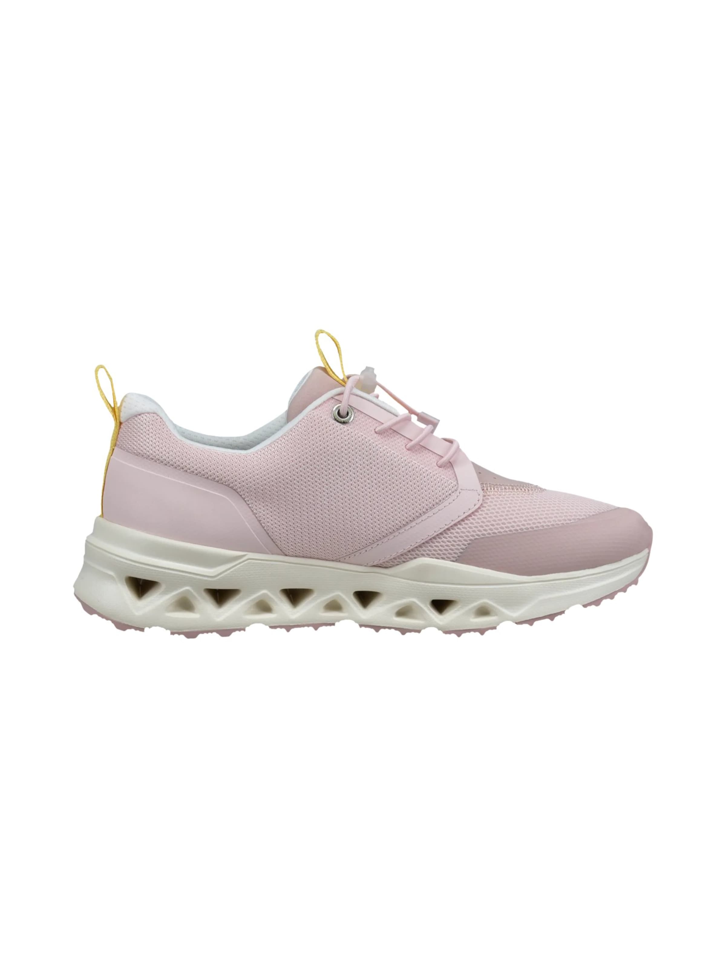 SALAMANDER Platform trainers in Pink