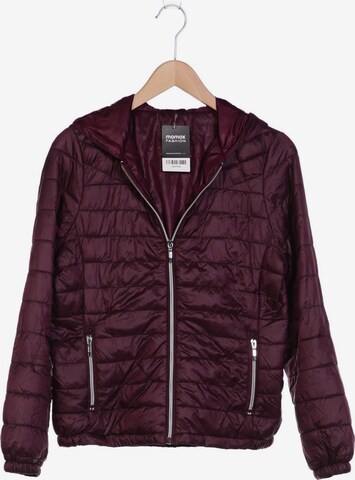 NEW LOOK Jacket & Coat in XS in Purple: front