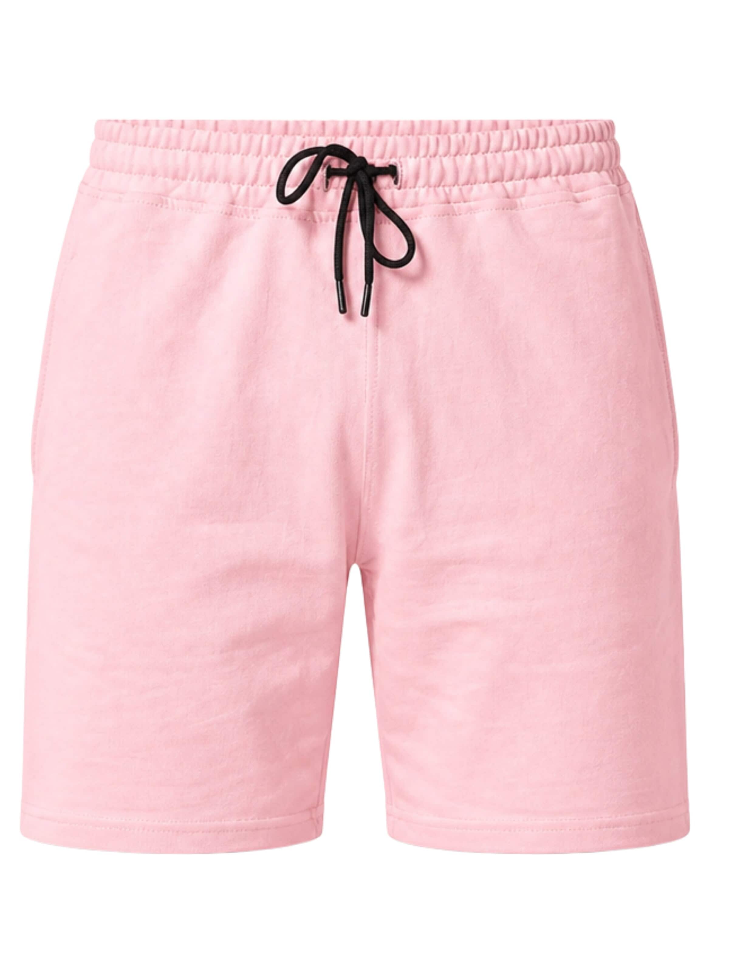 LOUIS LECLER Pants 'Otto' in 30 in Light pink, Item view