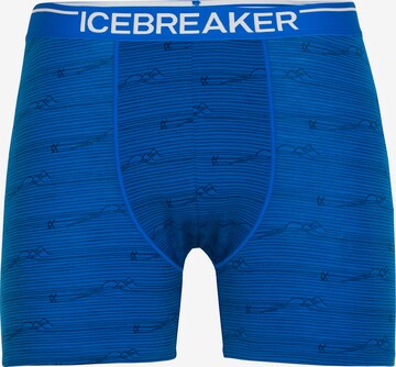 ICEBREAKER - Cueca desportiva 'Anatomica' em azul: frente